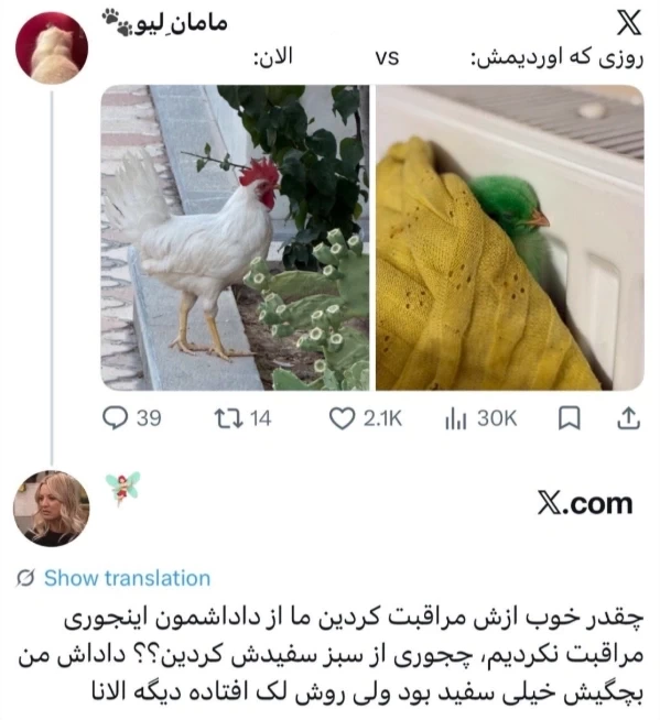 عکس