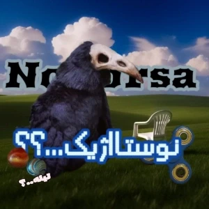 عکس}