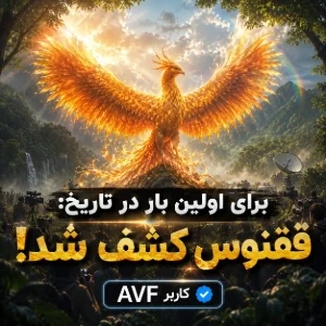 عکس}