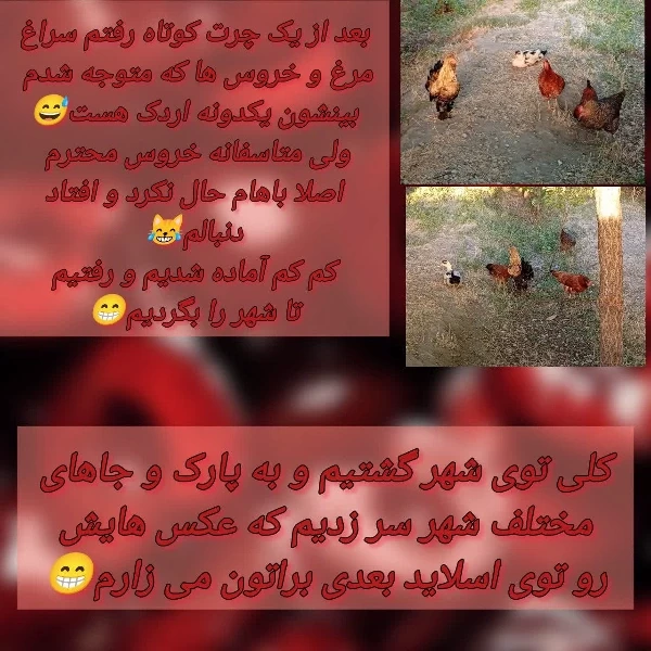 عکس