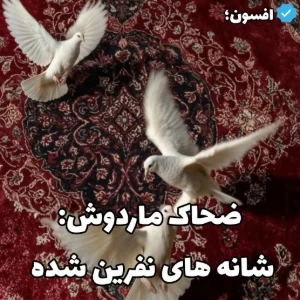 کاور