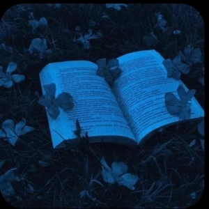 عکس تالار سایه p1