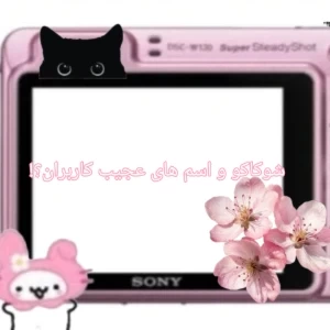 عکس}