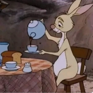 عکس}