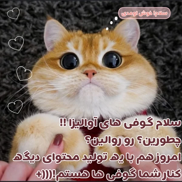 عکس