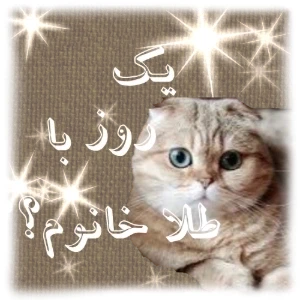 کاور