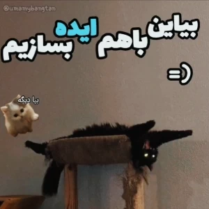 کاور