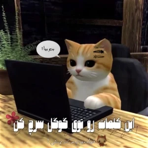 کاور