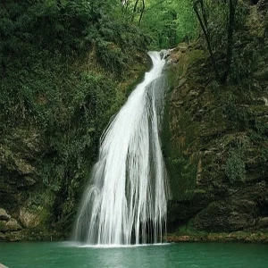 کاور