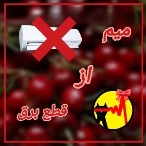 عکس}