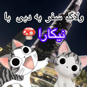 کاور