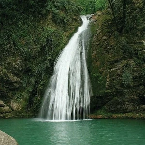 کاور