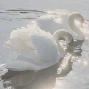 عکس معرفی خودم کامل ⁦^⁠_⁠^⁩