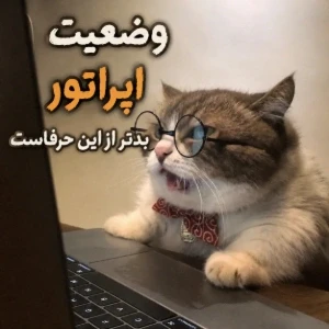 کاور