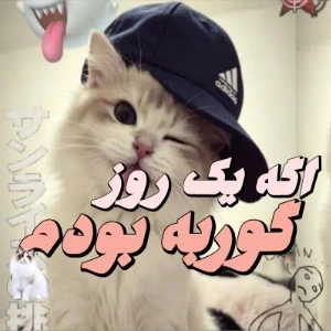 کاور