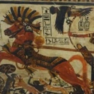 کاور