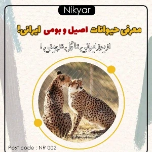 کاور