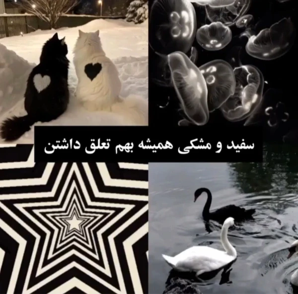 عکس