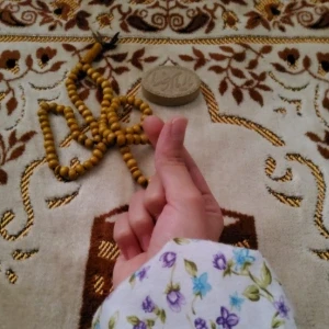 کاور