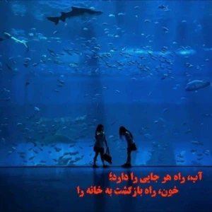 کاور