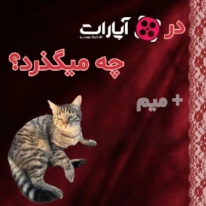 کاور