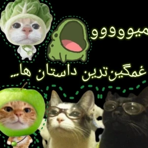 کاور