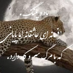 کاور