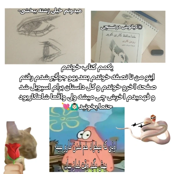 عکس