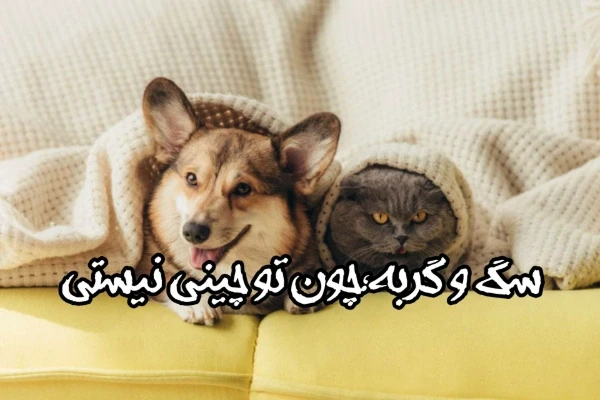 عکس