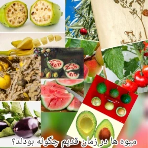 کاور