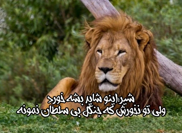عکس