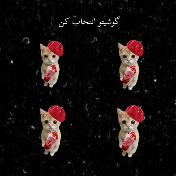 عکس