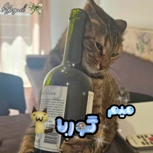 کاور