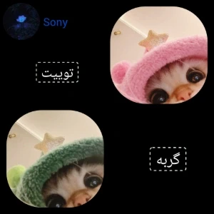 کاور