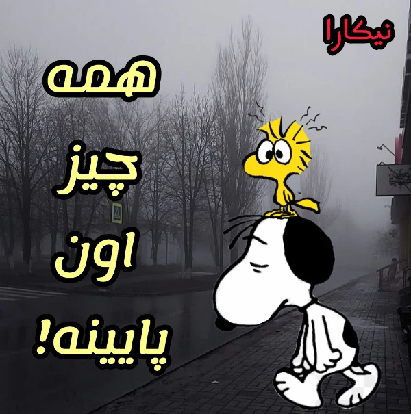 عکس