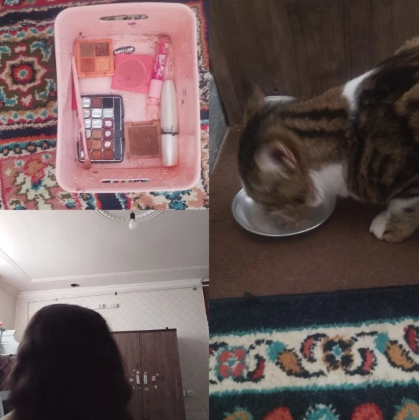 عکس