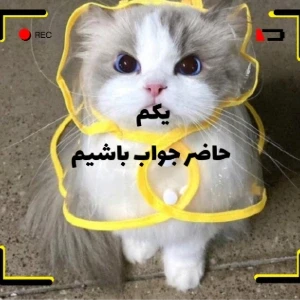 عکس با اینا جلوی بقیه محاله کم بیاری.