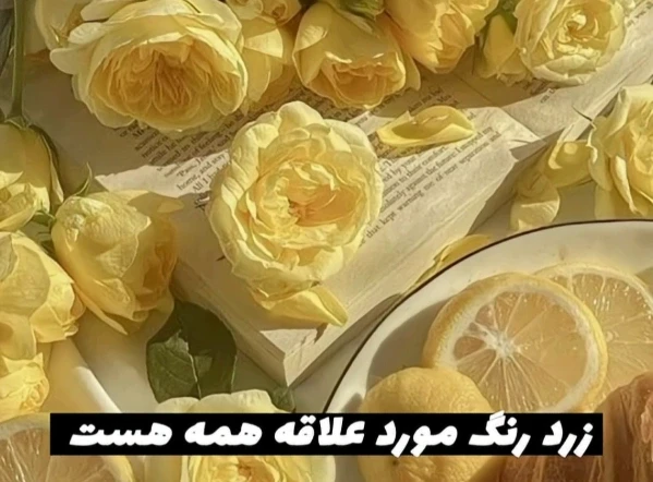 عکس