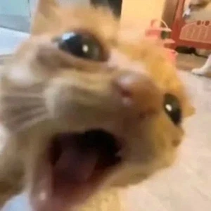 عکس ?𝒜𝑙𝑎𝑟𝑎