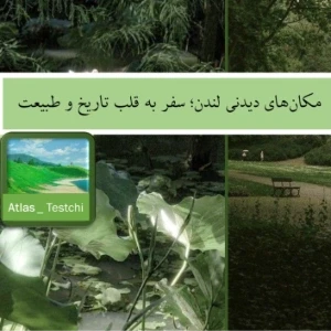 کاور