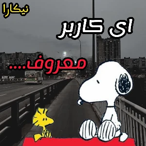 کاور