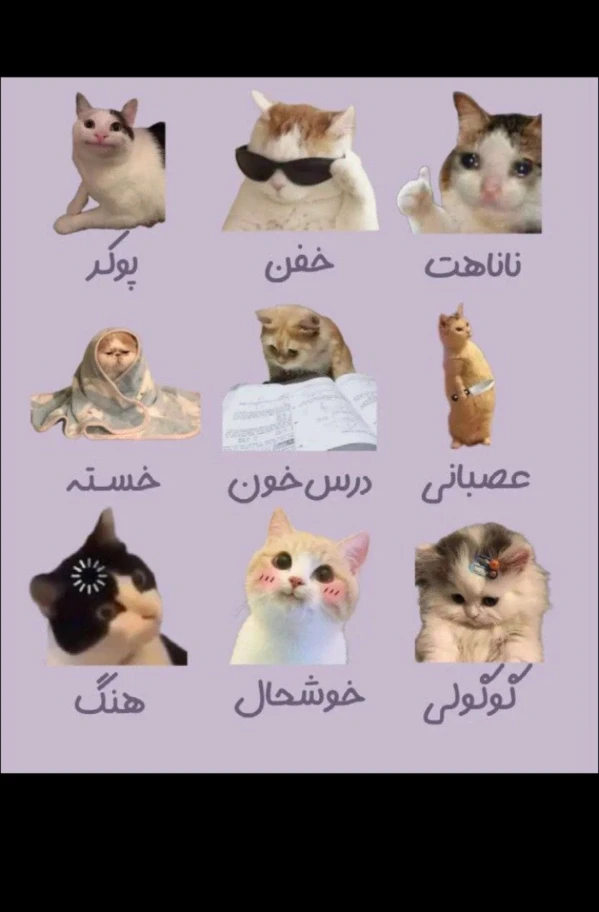 عکس