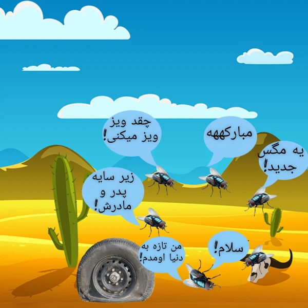 عکس