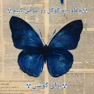 کاور