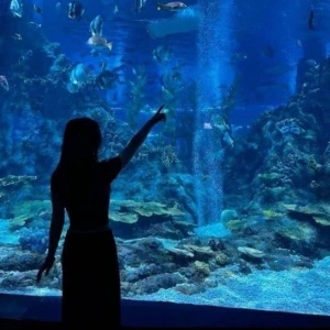 عکس 𝑴𝒚 𝒃𝒊𝒐