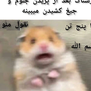 کاور