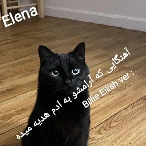 کاور