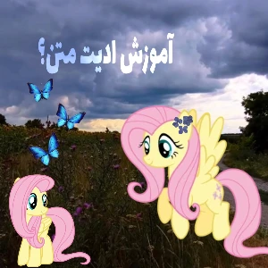 کاور