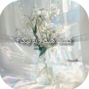 کاور