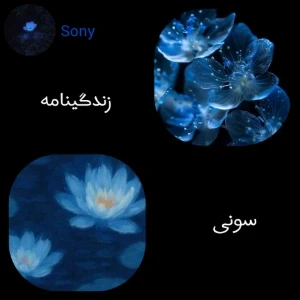 عکس زندگینامه سونی